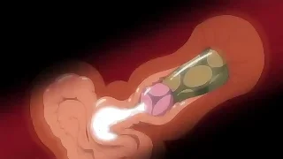 Gay Porn 7